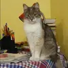 Отзыв от Ираида Устинова